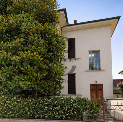 Giannotti 33