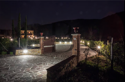 Villa Olga