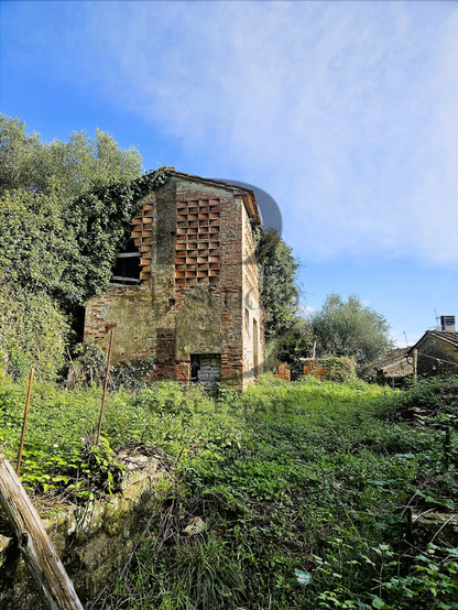 Villa di Petrognano