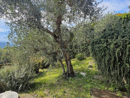 Villa di Petrognano
