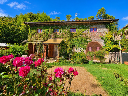 Tenuta Zorba