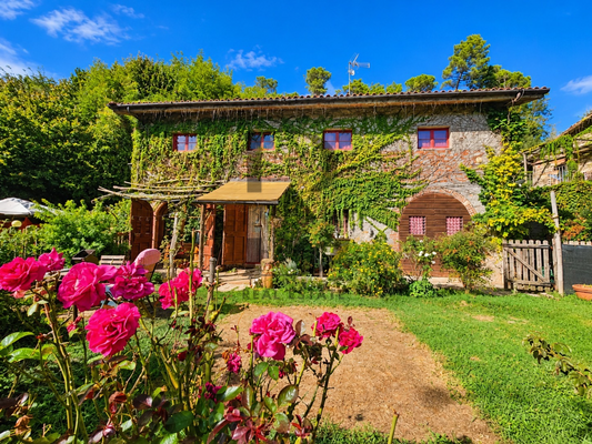 Tenuta Zorba