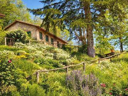 Tenuta Zorba