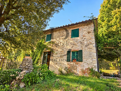 Tenuta Zorba