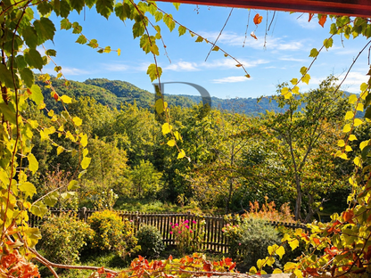 Tenuta Zorba
