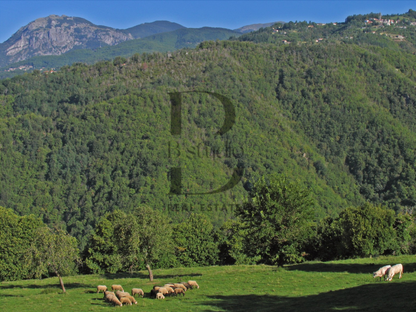 Sillico Estate
