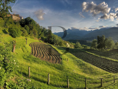 Sillico Estate