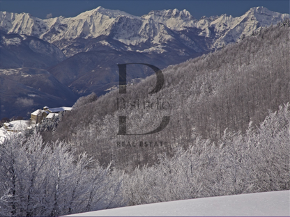 Sillico Estate